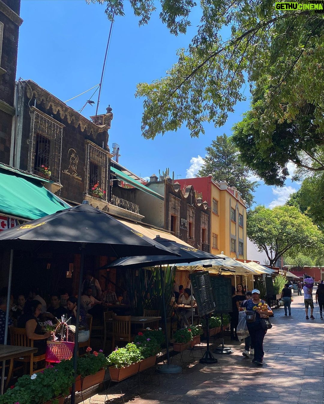 Jade Ramsey Instagram - (The other week)…24 hours in Mexico City. Def need to go back to try allllll the restaurants…. 🌶️🇲🇽🌮 Mexico City, Mexico