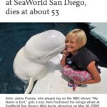 Jaime Pressly Instagram - The day this picture was taken was the day I took my oldest son, Dezi, to Seaworld in San Diego. Dez was only 2.5 and it was Mother’s Day. It was an amazing experience for us but this particular moment was the one that meant the most to us. #rip Ferdinand. Thank you for your sweet and gentle nature my friend. Swim easy up there.🙏😘❤️ #rip #ferdinand #seaworld #ocean #love #heaven #kisses