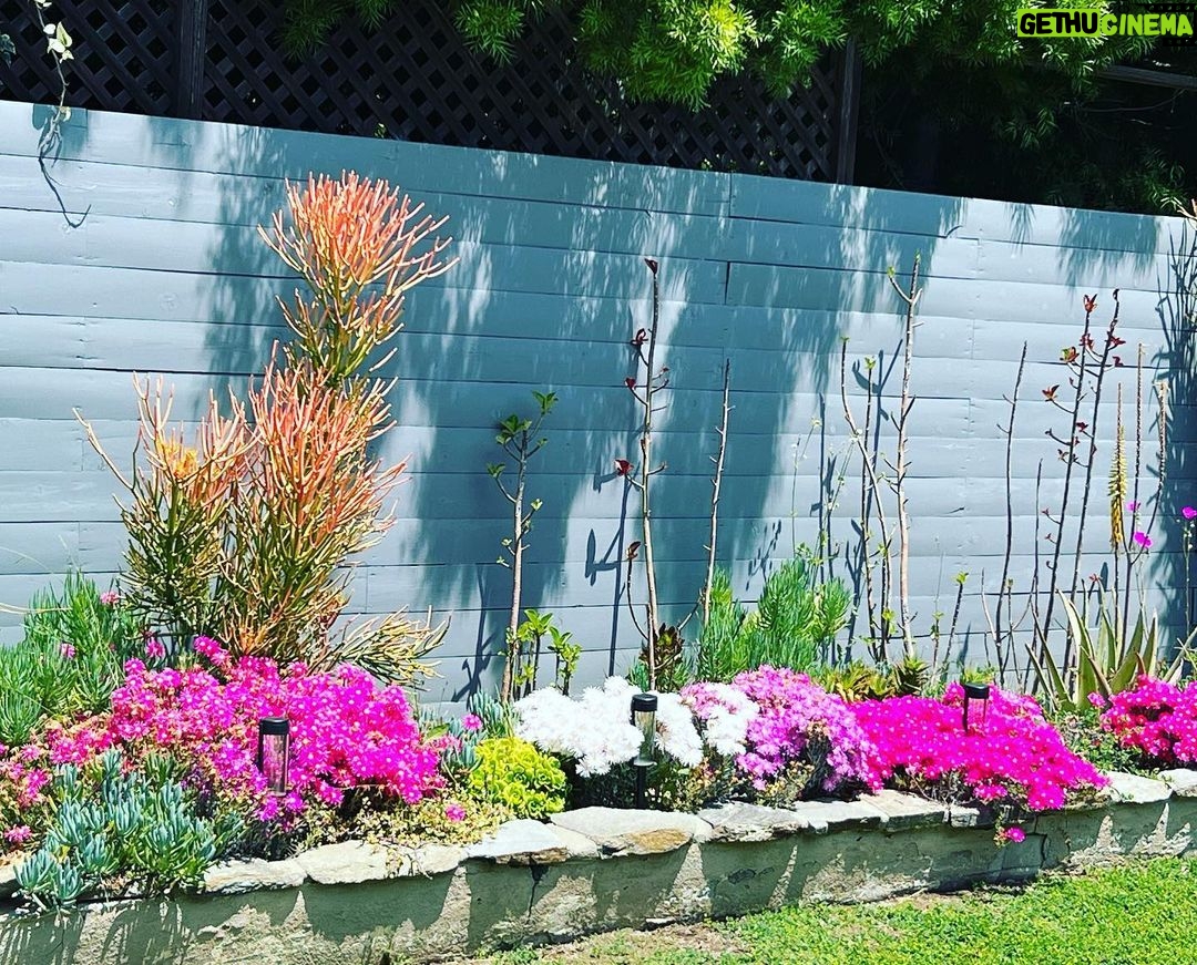 Jaime Pressly Instagram - #spring is here!!
