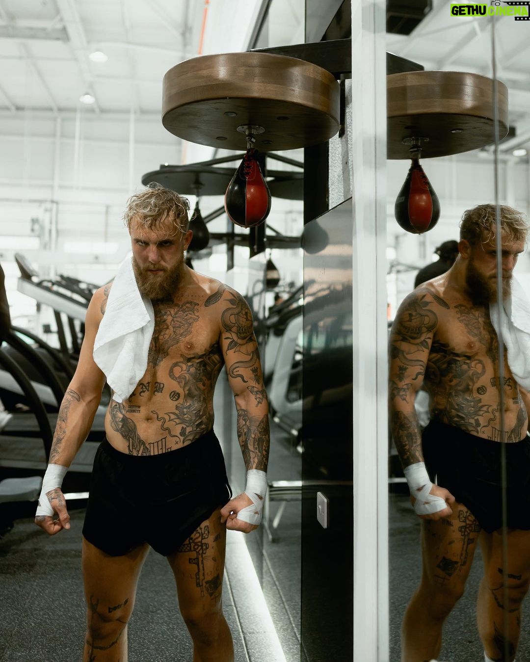 Jake Paul Instagram - I’m more athletic, have more heart, more of a WHY, more poised, more emotionally intelligent, more spiritually connected, more calculated, more willing to die, more patient, more studied, more willing to learn, more supported and loved then any of my opponents. So in this lifetime I just simply cannot be defeated🙏🏼for this timeline I am extremely grateful🐲thank you thank you thank you mother Gaia🌠🌅