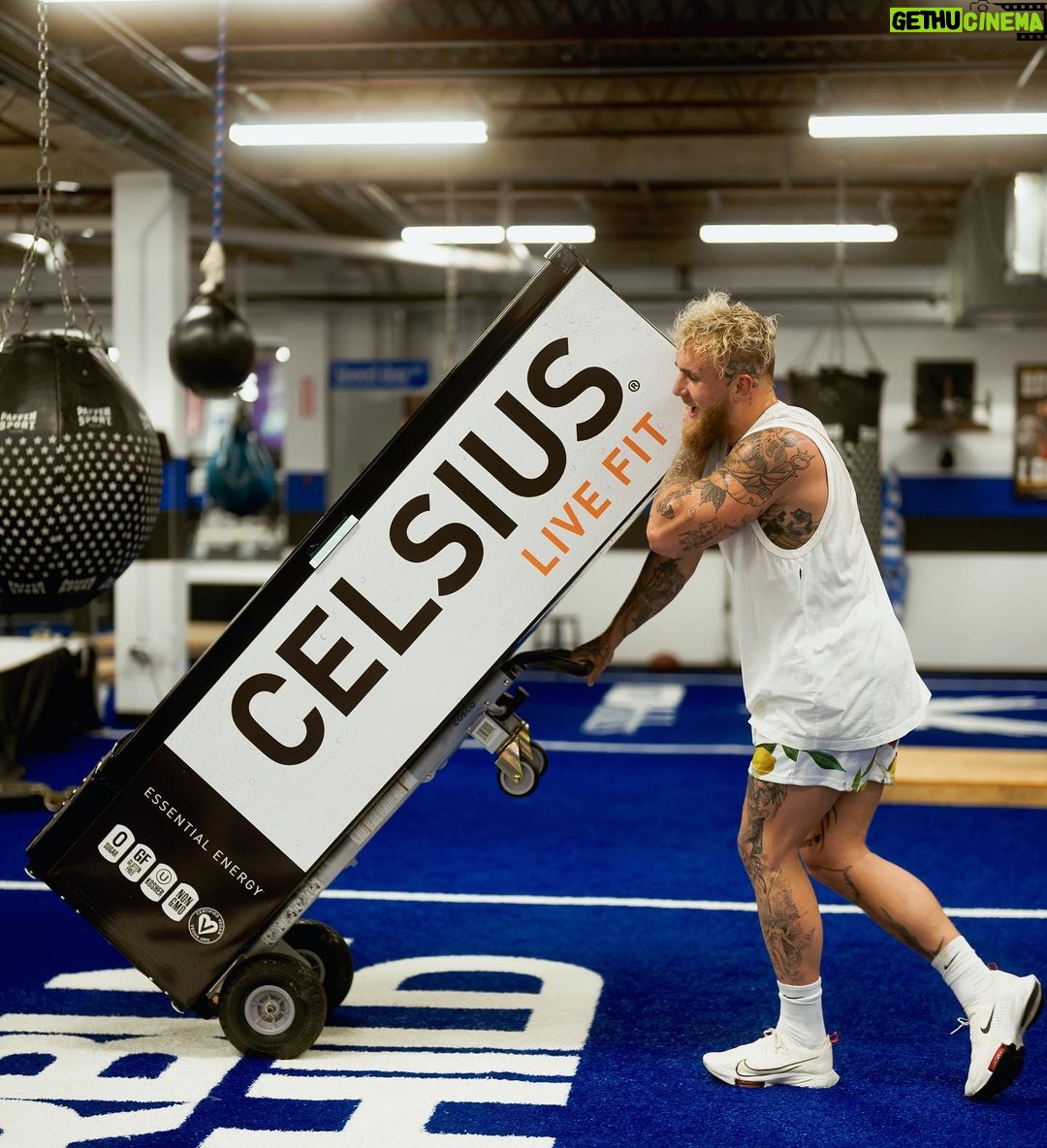 Jake Paul Instagram - big diesel @celsiusofficial August 5th๐ Dorado, Puerto Rico