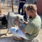 Jake Paul Instagram – A week in review.