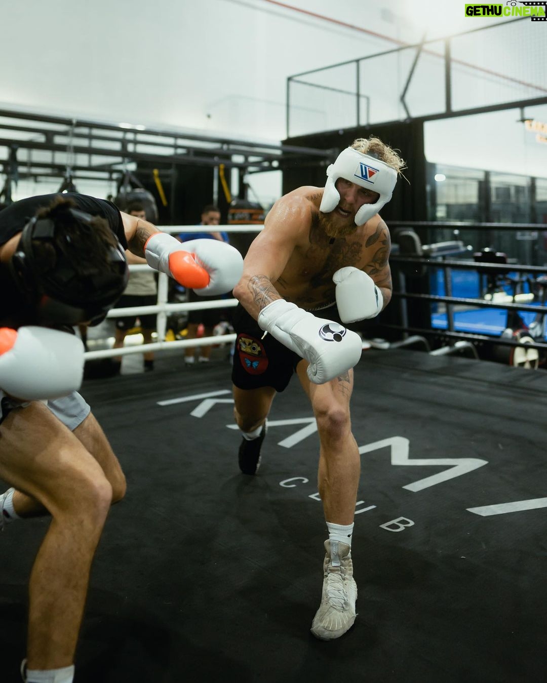 Jake Paul Instagram - I’m more athletic, have more heart, more of a WHY, more poised, more emotionally intelligent, more spiritually connected, more calculated, more willing to die, more patient, more studied, more willing to learn, more supported and loved then any of my opponents. So in this lifetime I just simply cannot be defeated🙏🏼for this timeline I am extremely grateful🐲thank you thank you thank you mother Gaia🌠🌅