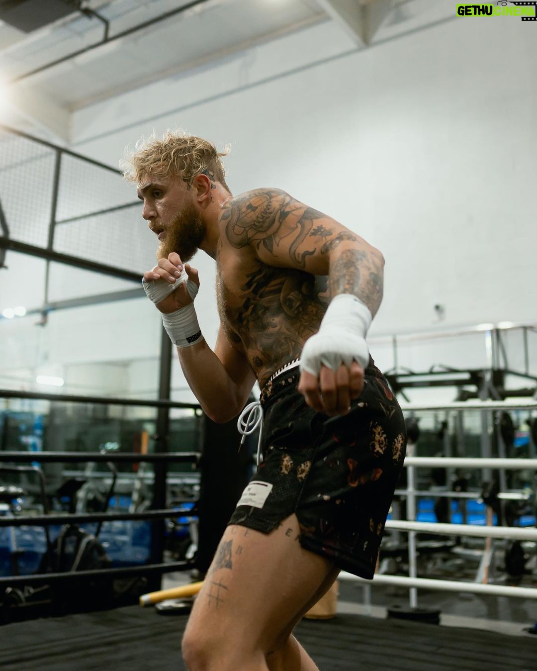 Jake Paul Instagram - I’m more athletic, have more heart, more of a WHY, more poised, more emotionally intelligent, more spiritually connected, more calculated, more willing to die, more patient, more studied, more willing to learn, more supported and loved then any of my opponents. So in this lifetime I just simply cannot be defeated🙏🏼for this timeline I am extremely grateful🐲thank you thank you thank you mother Gaia🌠🌅