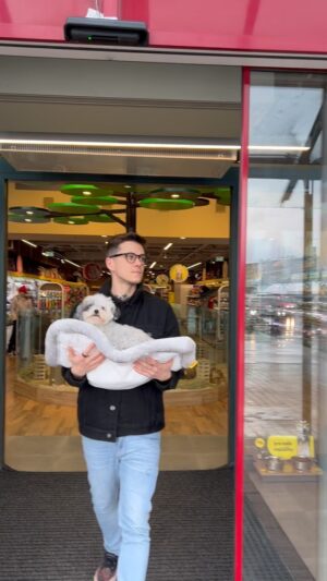 Jakub Kotek Instagram - Sound on 🔉Naše Bugy je náročnej pes a hlavně - chce si sama vybrat. Tak jsme ji vzali nakupovat do jedné ze 160 poboček @superzoocz a díky tomu, že má #superZOO novou mobilní📱aplikaci tak jsme hned na první nákup 🛍️ dostali 10% slevu a umí toho mnohem víc. Ke stažení na Google play a Appstore 🤙#boží #spoluprace 🚀