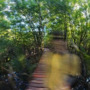 Jakub Kotek Instagram - Ko Chang - Salakphet Mangrove Walkway 🍀 #thailand