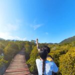 Jakub Kotek Instagram - Ko Chang - Salakphet Mangrove Walkway 🍀 #thailand Koh Chang, Thailand