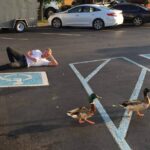 James Cipperly Instagram - Love Day. Promotional Photography Provided By: @sauce_williams . . . #baybee #valentinesday2018 #ducks #casualstyle