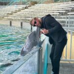 James Cipperly Instagram - I rate this smooch six out of six flags. . . . #monday #mondaymotivation #mondaymood #dolphin #smooch #water #bleachers #sixflags