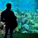 James Cipperly Instagram - King of the Atlantic Ocean . . . #baybee #monday #baltimore #aquarium #fish #coral #fishtank #nature #ocean #king #posideon #aew #atlantic #all