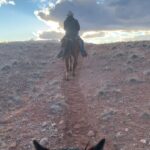 Jane Levy Instagram - bruja by day / flying cow by nite