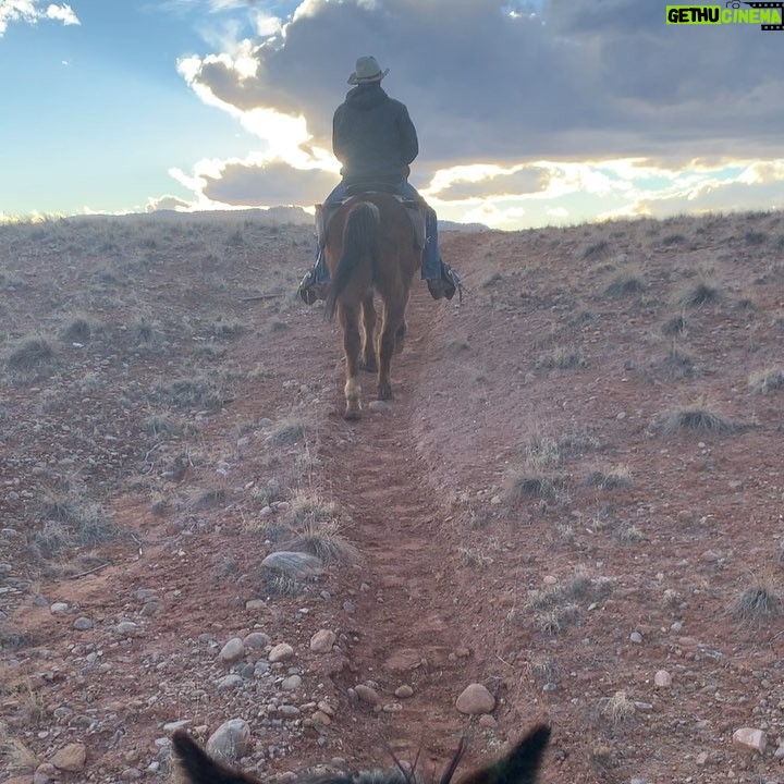 Jane Levy Instagram - bruja by day / flying cow by nite