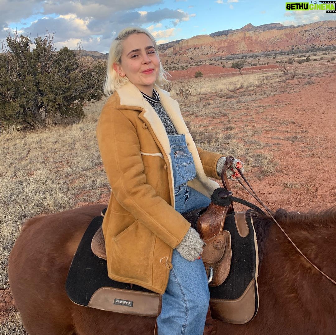 Jane Levy Instagram - bruja by day / flying cow by nite