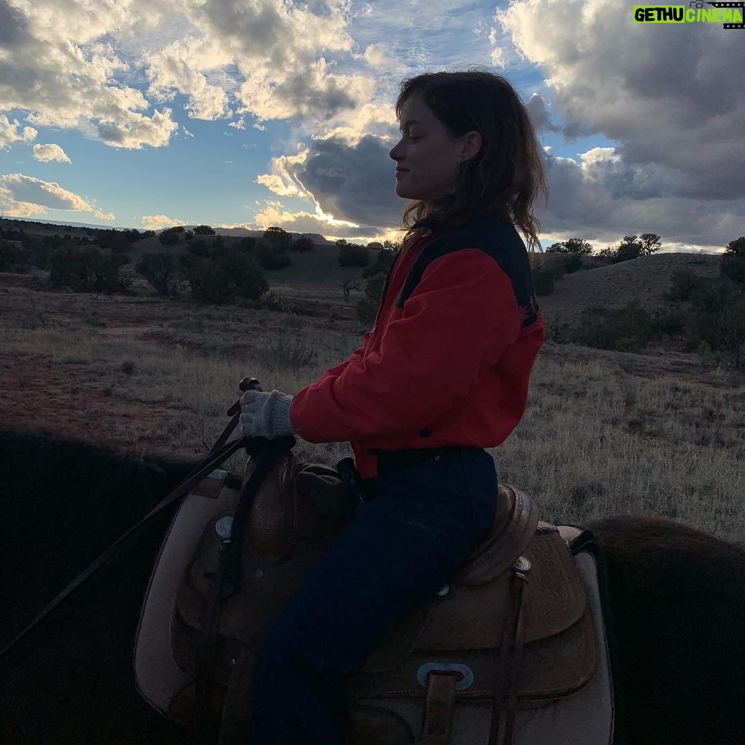 Jane Levy Instagram - bruja by day / flying cow by nite