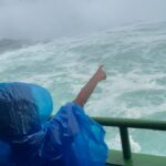 Janice Faison Instagram - Niagara Falls is beautiful ! I can cross this off my bucket list.