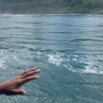 Janice Faison Instagram - Niagara Falls is beautiful ! I can cross this off my bucket list.