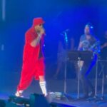 Janice Faison Instagram - Rock the Bells Festival