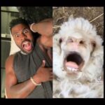 Jason Derulo Instagram - Ahhh 🐐 @buddeogame