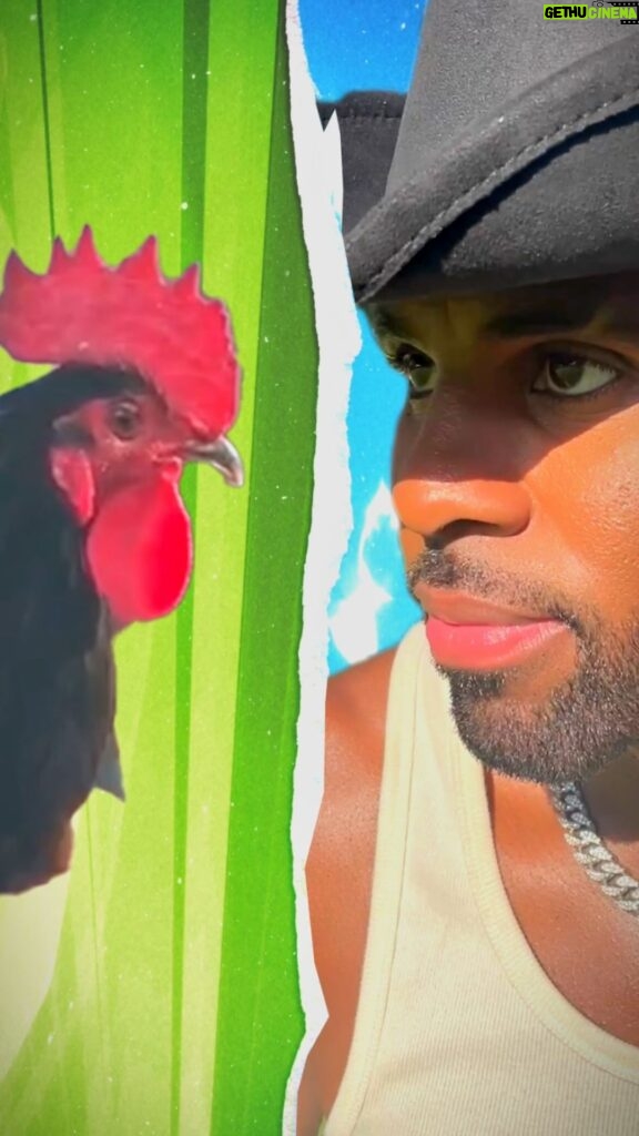 Jason Derulo Instagram - Can I Catch a chicken in under 30 seconds? Comment before video ends #HandsOnMe