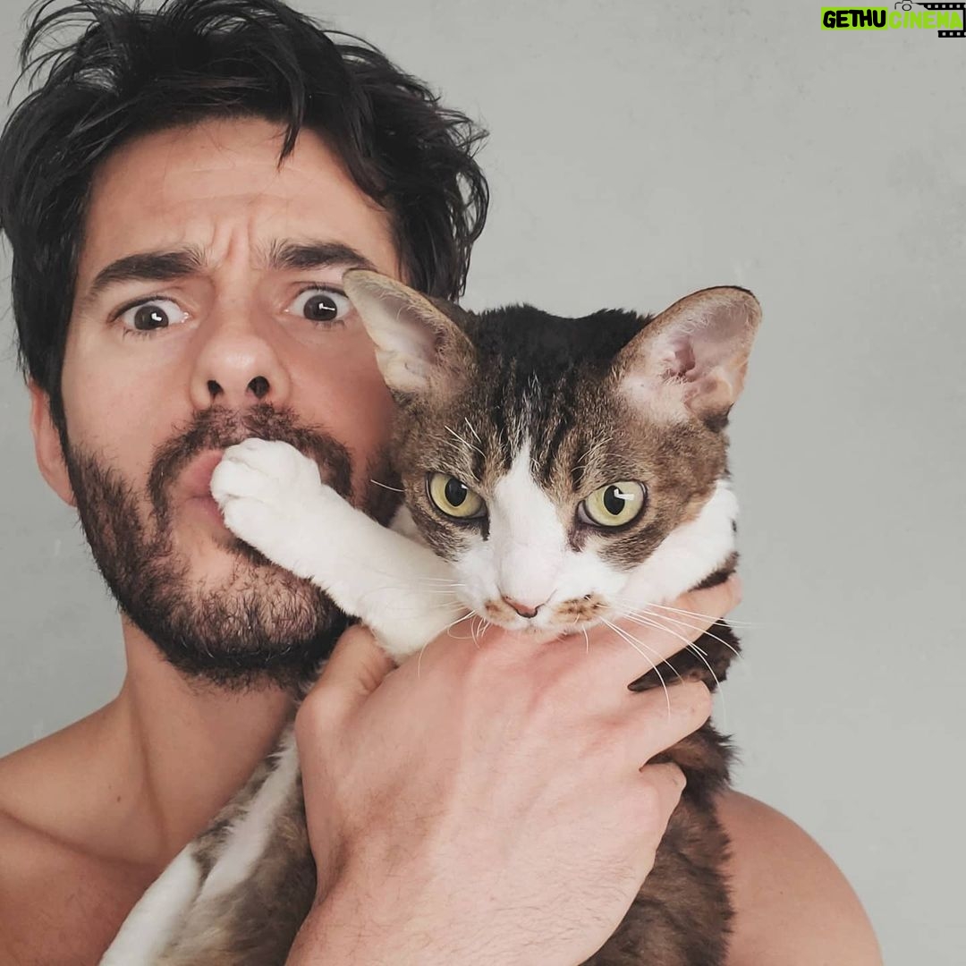 Jayson Blair - 8K Likes - Even my cat is annoyed by me in #quarantine SWIPE > 🥰
Do your part and stay indoors and keep those you love safe. Do not spread this virus please. The sooner we STOP socializing, the sooner this will all end. Love y'all.
