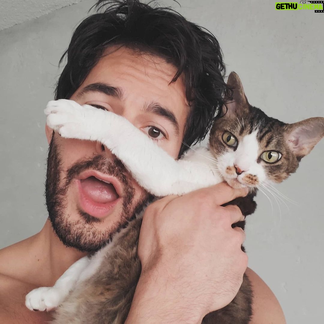 Jayson Blair - 8K Likes - Even my cat is annoyed by me in #quarantine SWIPE > 🥰
Do your part and stay indoors and keep those you love safe. Do not spread this virus please. The sooner we STOP socializing, the sooner this will all end. Love y'all.