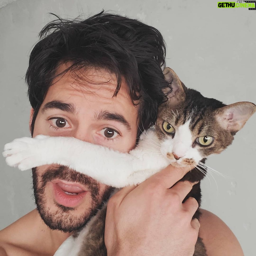 Jayson Blair - 8K Likes - Even my cat is annoyed by me in #quarantine SWIPE > 🥰
Do your part and stay indoors and keep those you love safe. Do not spread this virus please. The sooner we STOP socializing, the sooner this will all end. Love y'all.