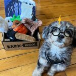 Jazzul Escada Instagram - Just pawfect 🐾 @barkbox