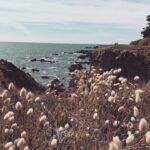 Jean-Baptiste Toussaint Instagram - Conte d’été.