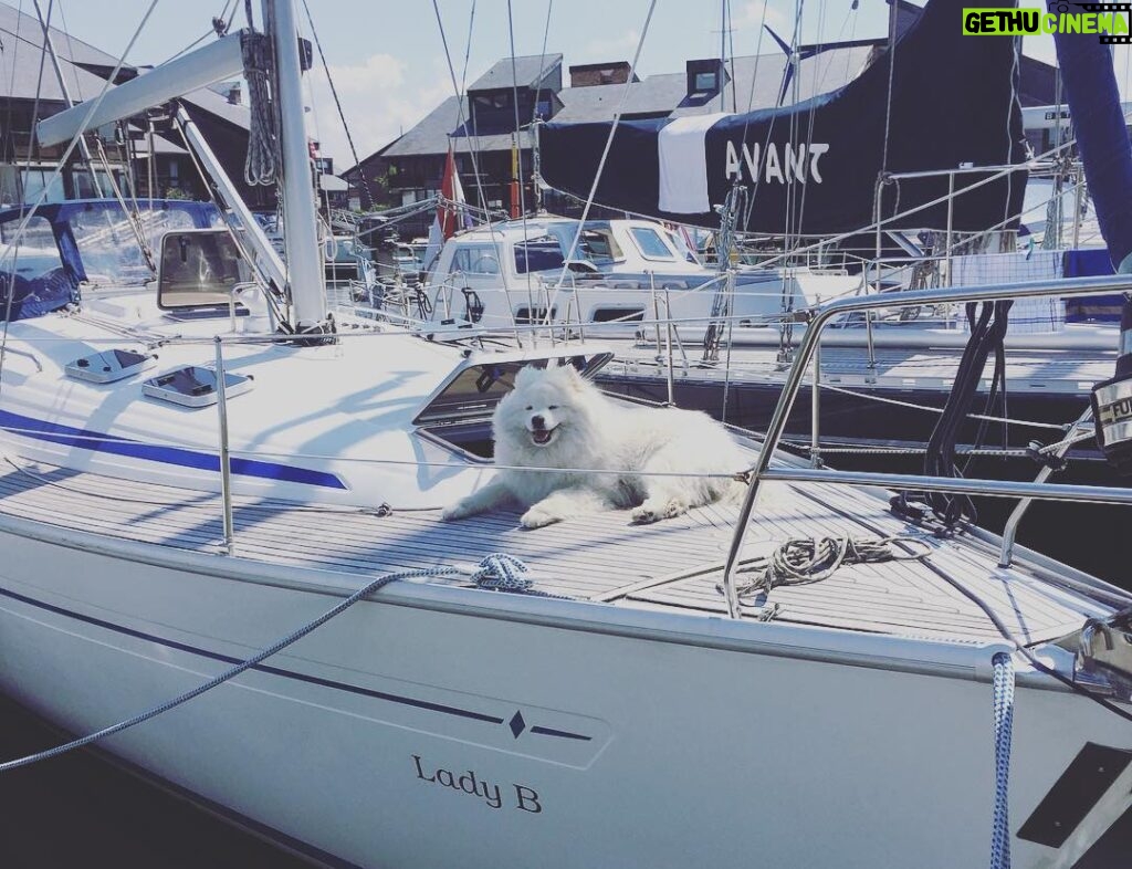 Jean-Baptiste Toussaint Instagram - Je viens de croiser un chien qui a mieux réussi dans la vie que moi. Deauville, France