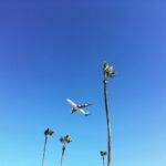 Jean-Baptiste Toussaint Instagram - Bye bye L.A Retour à Paris. Hâte de vous montrer ce qu’on a filmé ici. Los Angeles, California