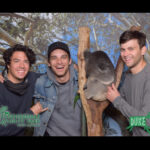Jeff Ward Instagram – Honest to god one of the happiest moments of my entire life.