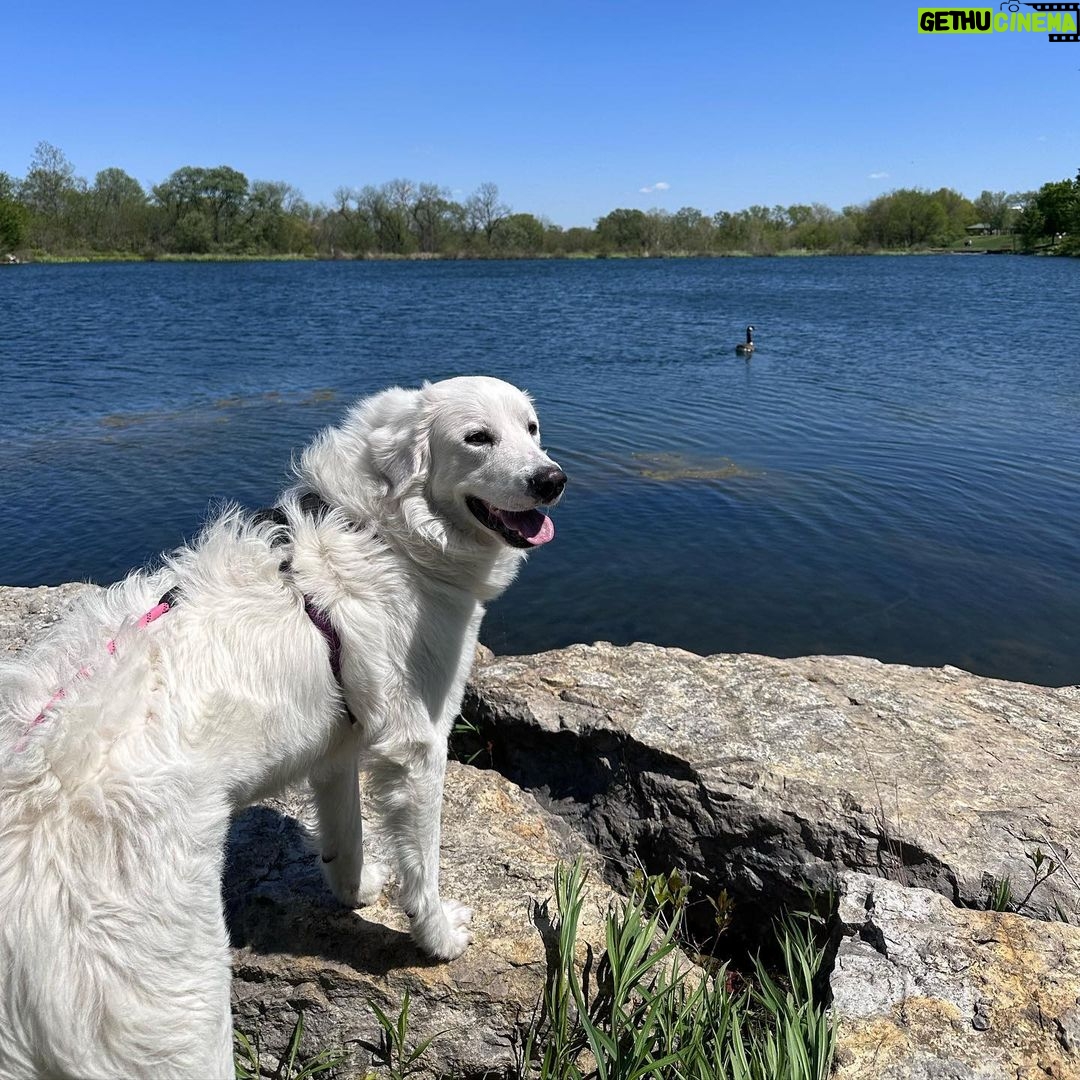 Jen Sutphin Instagram - No video this week! James and I are taking a break (not really we have a billion things to do) and we will return next week with a highly requested video! To make up for this egregious sin here is a happy picture of Marshall at the park! 🙏🏻
