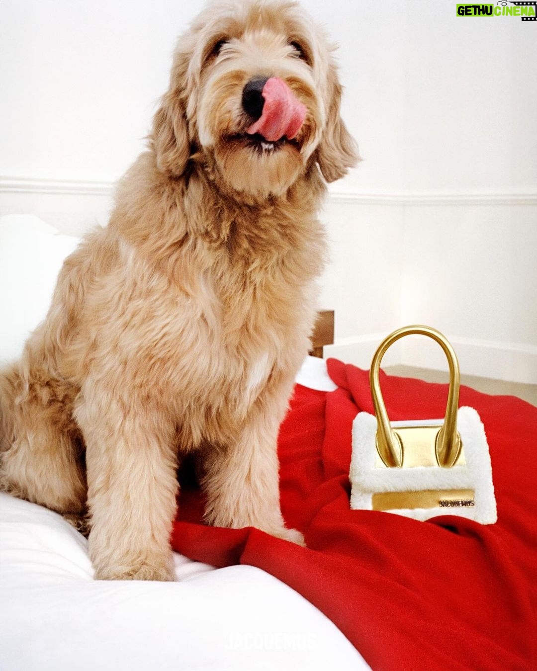 Jennie Kim Instagram - GUIRLANDE Holiday Campaign with @jacquemus 🎄🐕🎁 Love you Simon ❣️