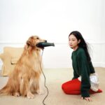 Jennie Kim Instagram - GUIRLANDE Holiday Campaign with @jacquemus 🎄🐕🎁 Love you Simon ❣️