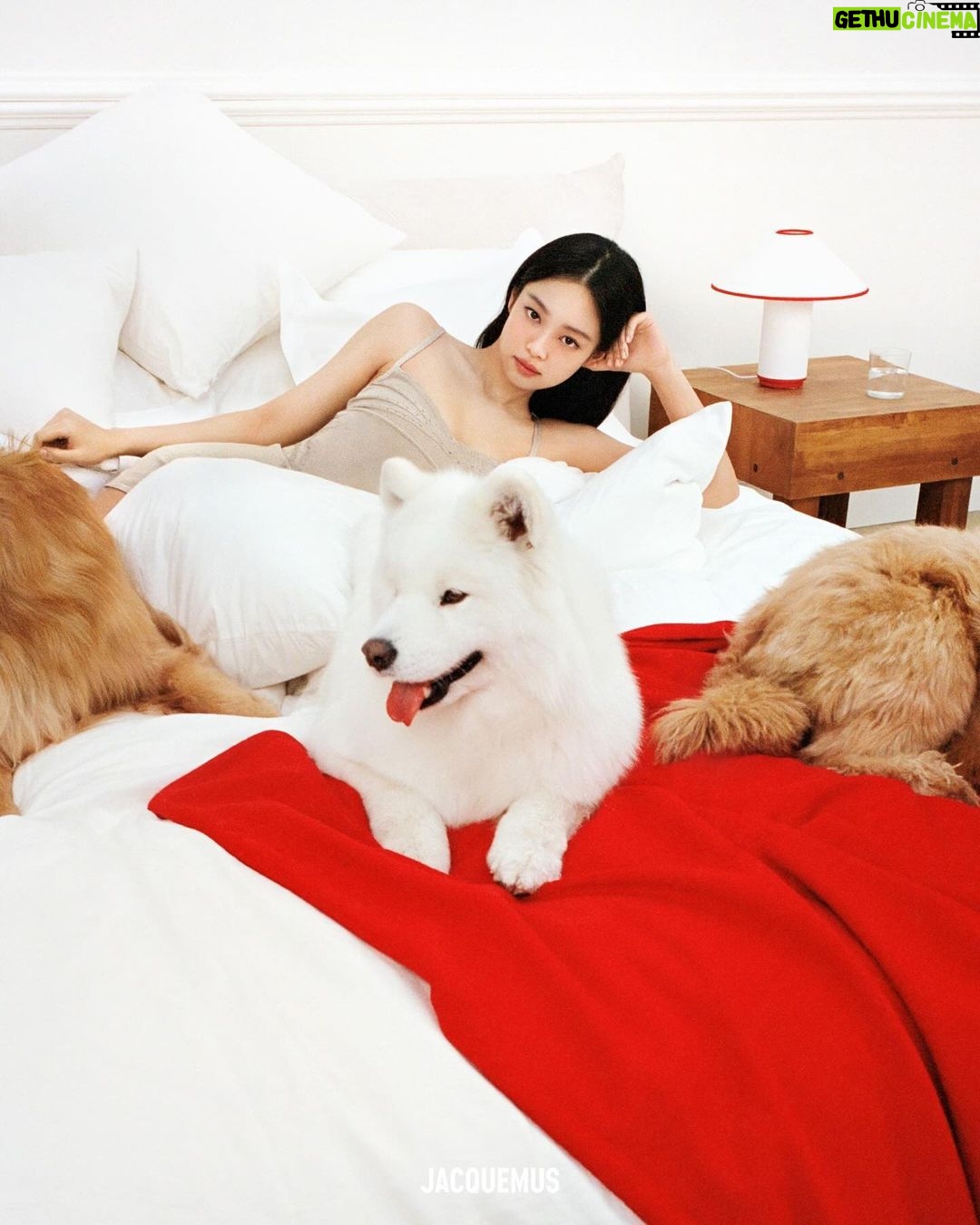 Jennie Kim Instagram - GUIRLANDE Holiday Campaign with @jacquemus 🎄🐕🎁 Love you Simon ❣️