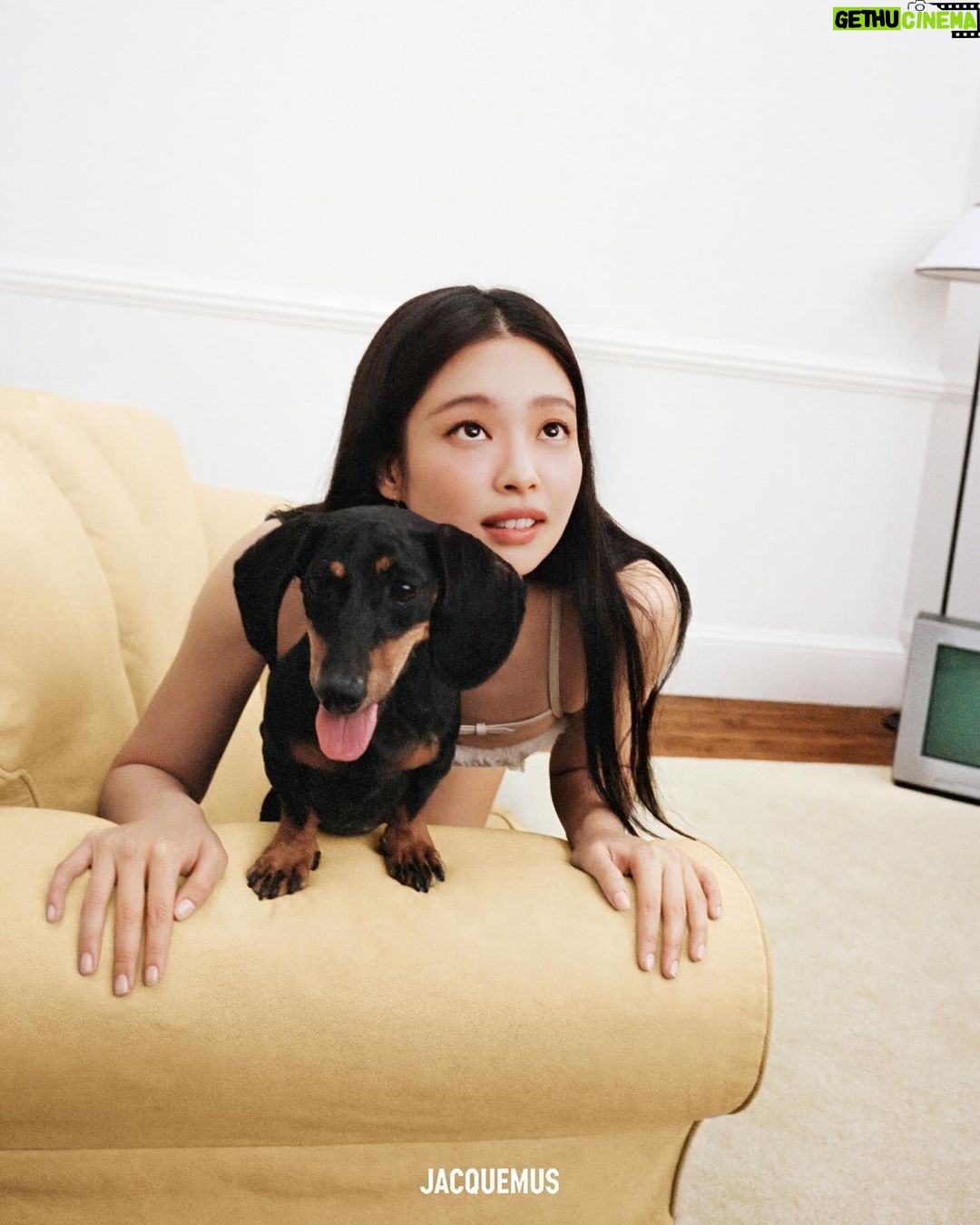 Jennie Kim Instagram - GUIRLANDE Holiday Campaign with @jacquemus 🎄🐕🎁 Love you Simon ❣️