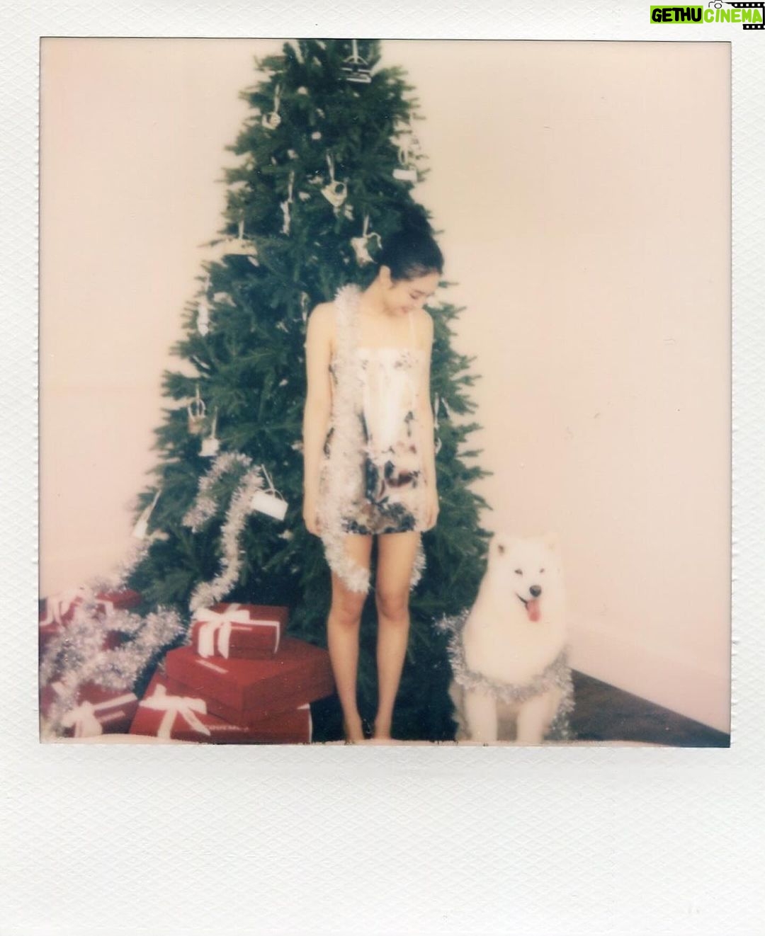 Jennie Kim Instagram - A whole day filled with happiness 🐶 @jacquemus
