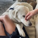 Jennifer Aniston Instagram - Morning 🥰