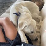 Jennifer Aniston Instagram - Morning 🥰