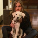 Jennifer Aniston Instagram - We’re grateful 🙏🏼❤️
