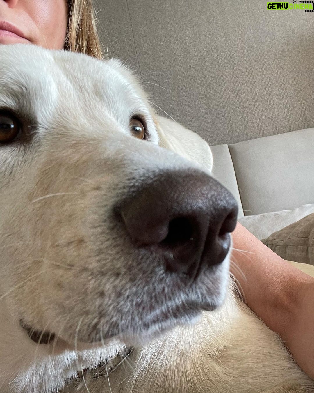 Jennifer Aniston Instagram - One year with my lovable, squeezable, talkative (barks at air), cuddly, and not-so-little-anymore Lord Chesterfield 🥳❤️🐾