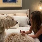 Jennifer Aniston Instagram - We. are. BACK! 🥳 Season 2 of @themorningshow is here and we’re excited to hand it over to you. In the meantime…a little iPhone drop for your entertainment ❤️👈🏼And yes. Alex gets a dog. FINALLY 🥰🐾👊🏼But that’s just the beginning…