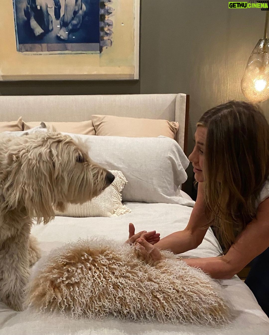 Jennifer Aniston Instagram - We. are. BACK! 🥳 Season 2 of @themorningshow is here and we’re excited to hand it over to you. In the meantime…a little iPhone drop for your entertainment ❤️👈🏼And yes. Alex gets a dog. FINALLY 🥰🐾👊🏼But that’s just the beginning…