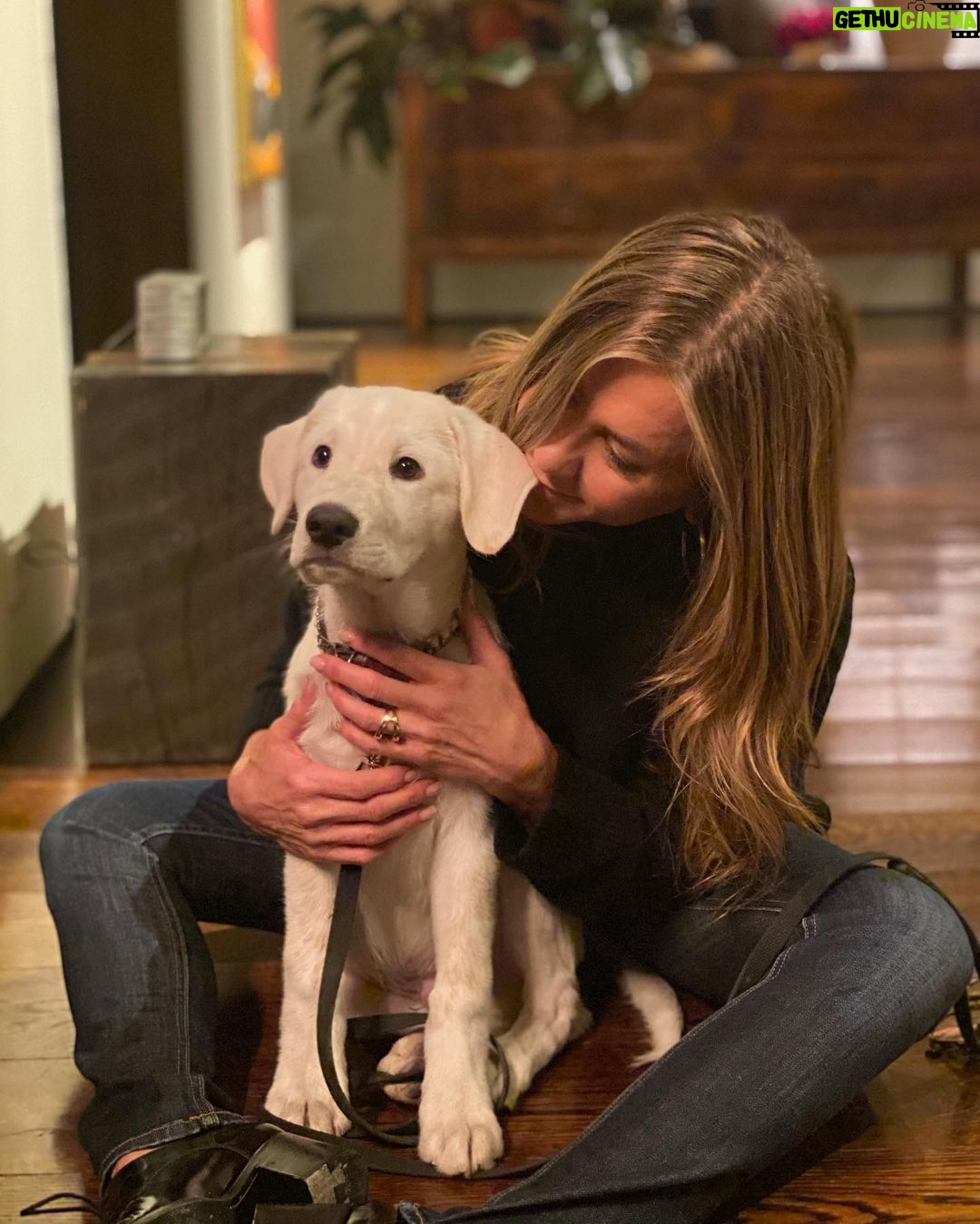 Jennifer Aniston - 6.1 Million Likes - We’re grateful 🙏🏼❤️