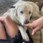 Jennifer Aniston Instagram - Morning 🥰