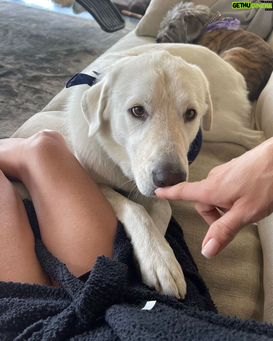 Jennifer Aniston Instagram - Morning 🥰
