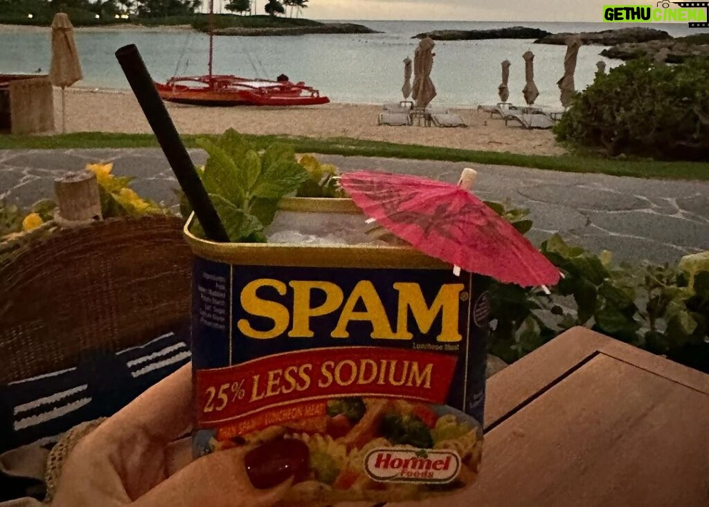 Jennifer Finnigan Instagram - Yup, I’m drinking a Mai Tai in a Spam can. And it’s delicious. Aloha #hawaii 🥰🌸🌺