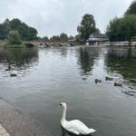 Jennifer Finnigan Instagram - GEEKING OUT in #stratforduponavon , birthplace of Shakespeare…..could have spent 3 days here, steeped in all things Willie Shakes. First pic is the house he was born in (and the room he was born in)….then onto his schoolhouse where he was schooled until age 14 (oh and that’s Jonny in an authentic school master costume 🤦🏼‍♀️)…Shakespeare’s grave….and a Swan on the Avon ❤️❤️❤️ #shakespeare #uk #england Stratford-Upon-Avon, Shakespear's Birthplace. England. Uk