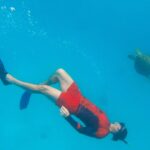 Jennings Brower Instagram - Spider-Man: Across The Waterverse🕷️🌊🤿 #spiderman #moorea #tahiti Mo'orea