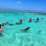 Jennings Brower Instagram - Spider-Man: Across The Waterverse🕷️🌊🤿 #spiderman #moorea #tahiti Mo'orea
